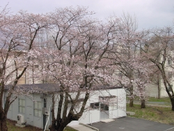 DSC00026.JPG