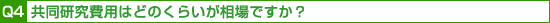 Q4p͂ǂ̂炢ł?