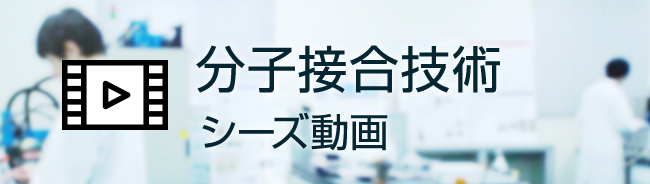 「分子接合技術」シーズ動画