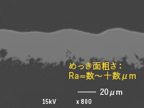粗化接合（アンカー効果）（三共化成㈱SKW-L2の断面写真）（岩手県工業技術センター）